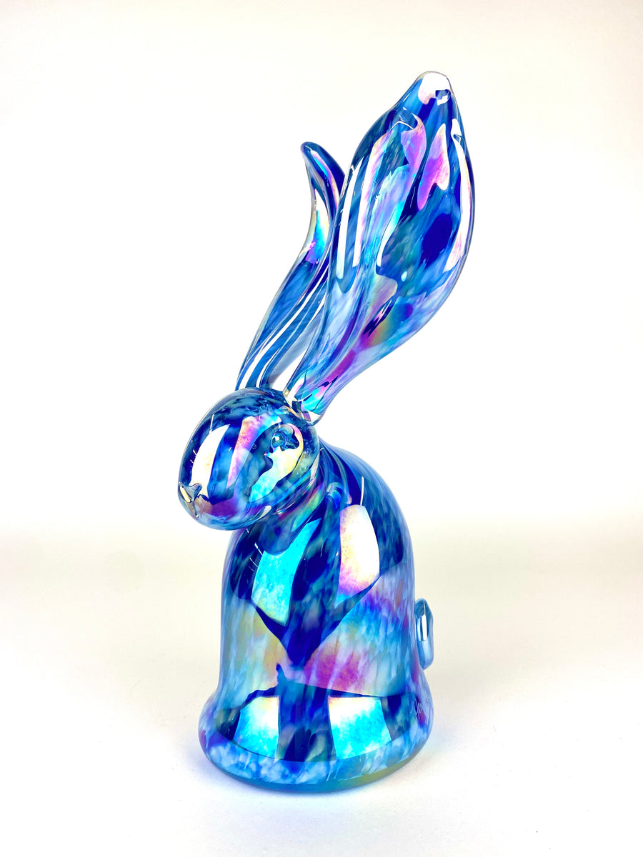 Caeruleus XI