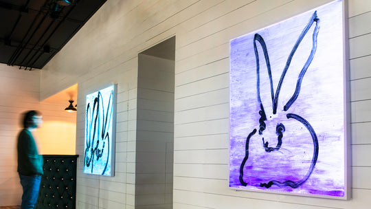 Glow Box Bunnies