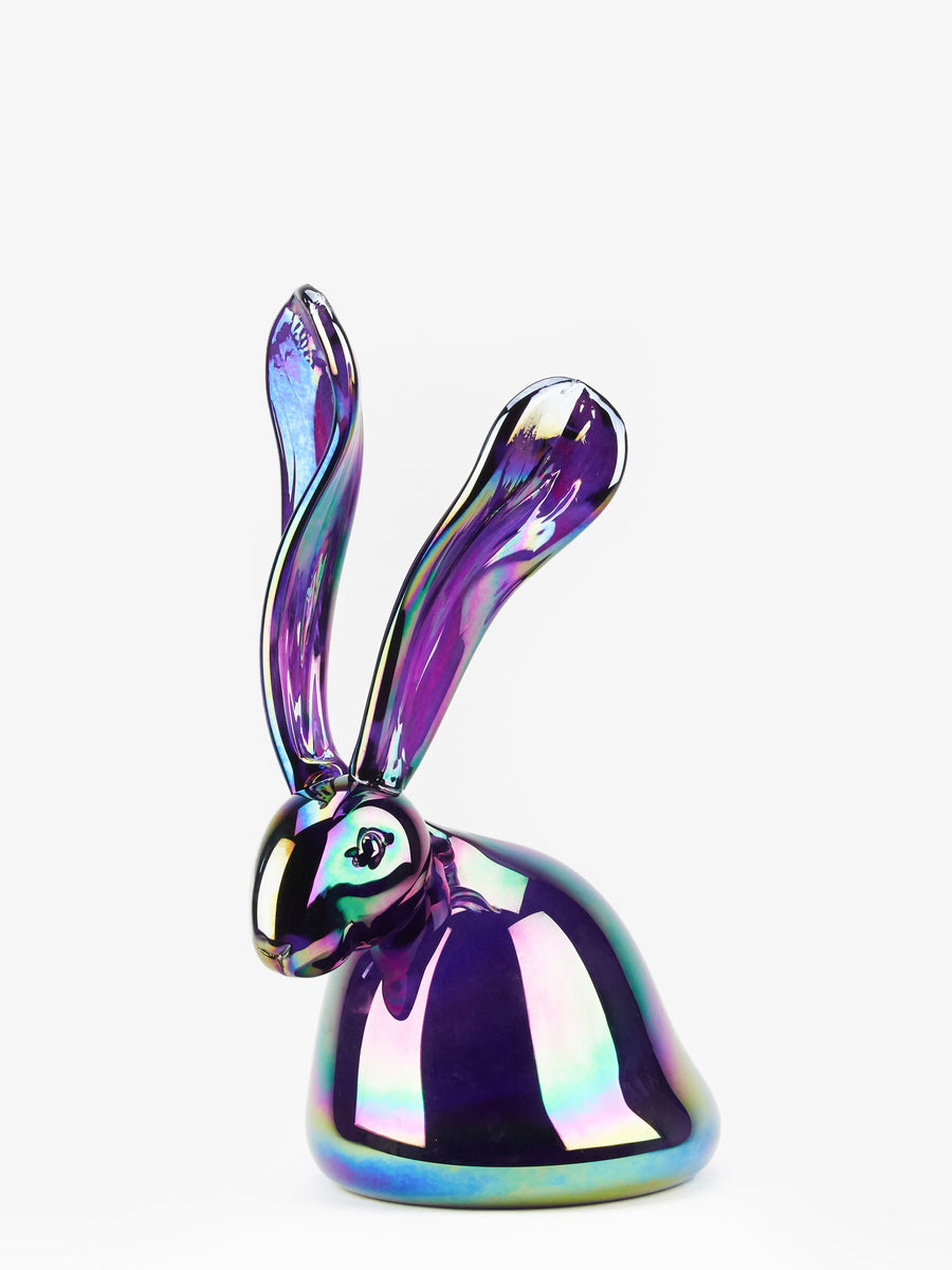 Arista