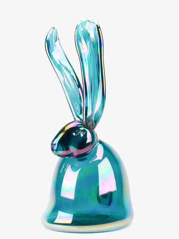 Shalene (gifted to Sabina at Dallas Botanical Gardens)