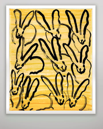 Spectacle Bunnies