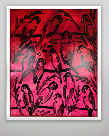 Red Notice