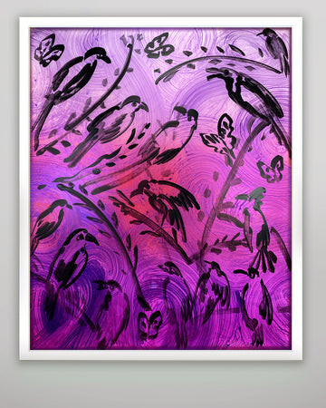 Violet Perch